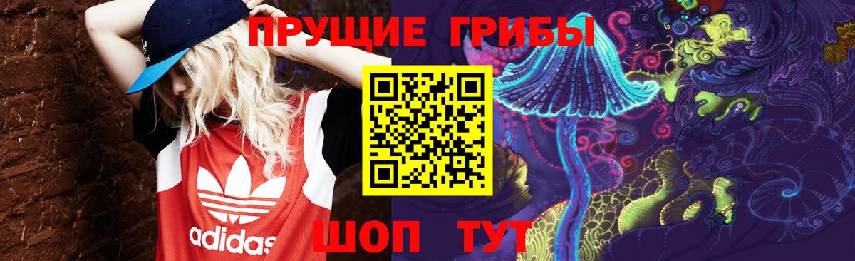 Псилоцибиновые грибы Psilocybe Каменка